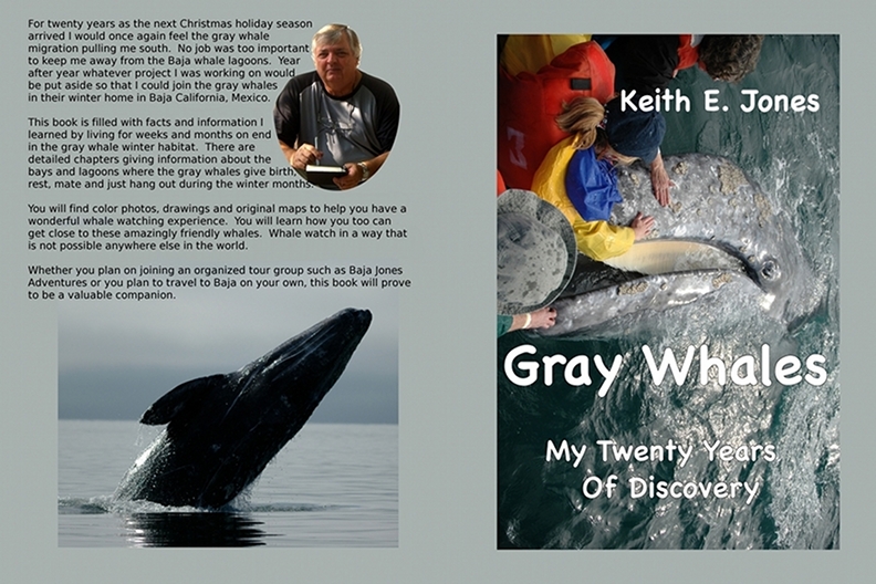 gray whale cover